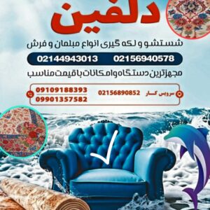 🐬 قالیشویی و مبل‌شویی دلفین